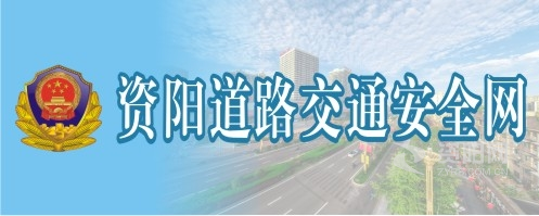 伊人插毛逼资阳道路交通安全网